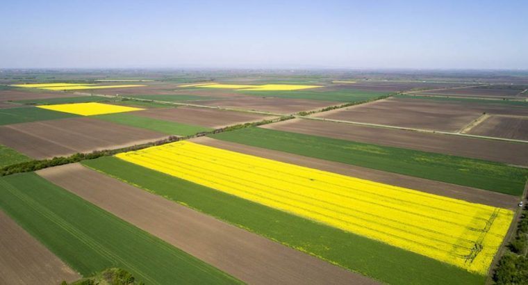 Cena poljoprivrednog zemljišta na prodaju – od čega zavisi?